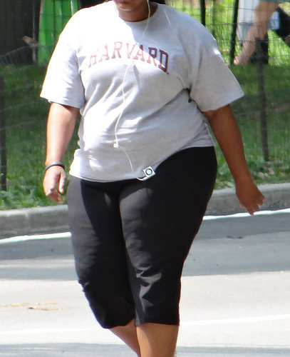 what is a fat burner