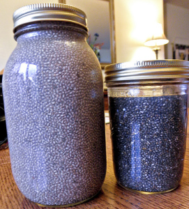 chia seeds and weight loss