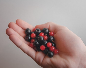 Effects of acai berry on weight loss